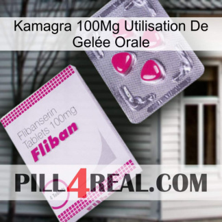 Kamagra 100Mg Utilisation De Gelée Orale 32